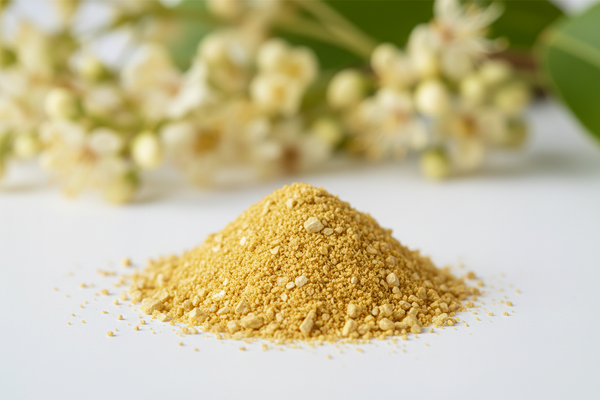 Create a hyper-realistic ingredient photo of Quercetin Dihydrate extracted from Sophora japonica.
Show a small pile of fine yellow-gold powder on a clean surface, with macro texture details.
Include a few Sophora japonica flowers or flower clusters in the background — small white-yellow blossoms from the Japanese pagoda tree.
Clean, clinical, botanical, premium ingredient photography.
Soft shadows, high-definition, no artificial embellishments.